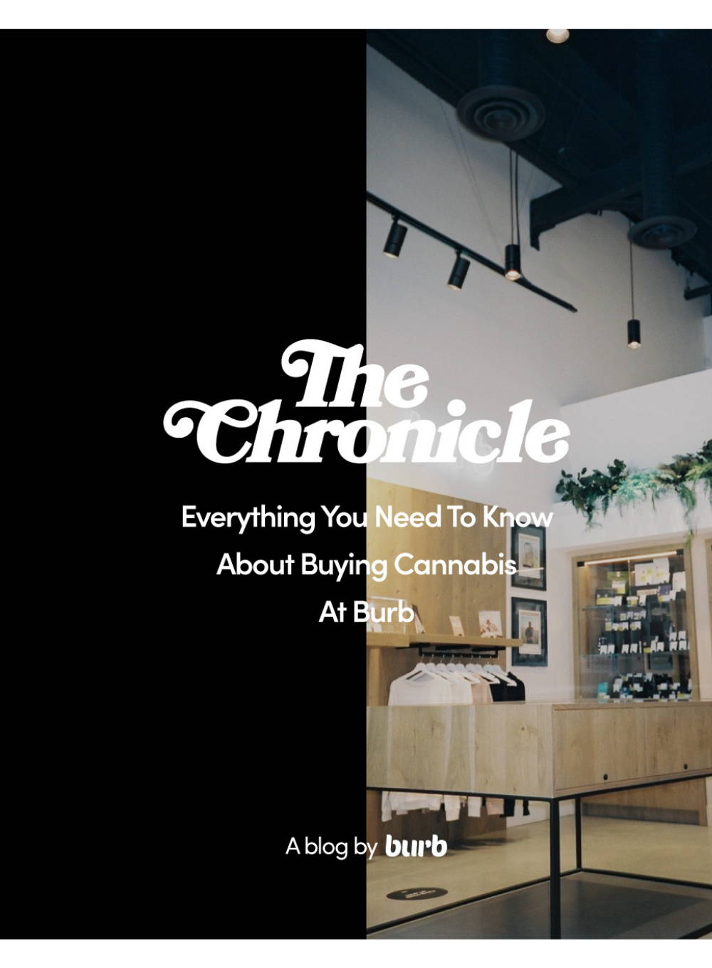 Everything You Need To Know About Buying Cannabis At Burb